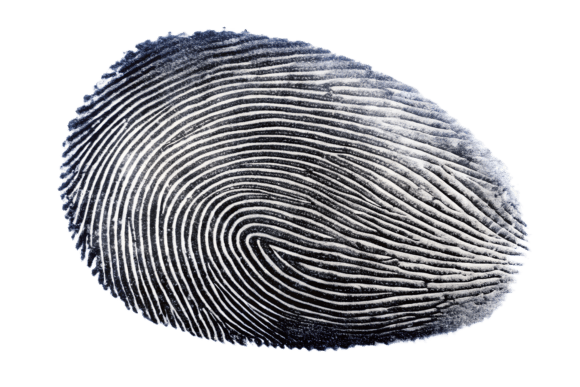 Download Close Up of a Fingerprint Isolated PNG - Close up Collection
